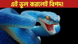 What To Do If a Snake Climbs On You While Sleeping