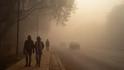 Cold Wave Alert: Hyderabad Records Sharp Fall in Winter Temperature