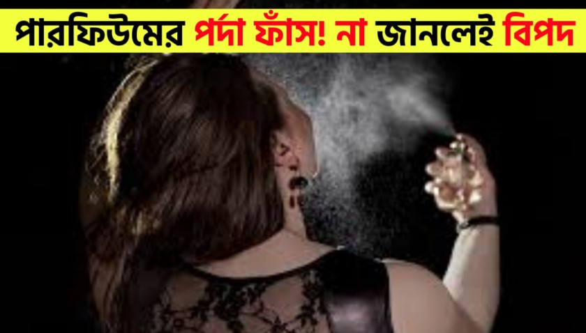 How to Read Perfume Codes Before You Buy