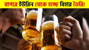 Can Beer Really Be Made from Urine? The Truth Behind NewBrew