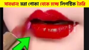 What Really Makes Lipstick Red? The Hidden Process Everyone Should Know