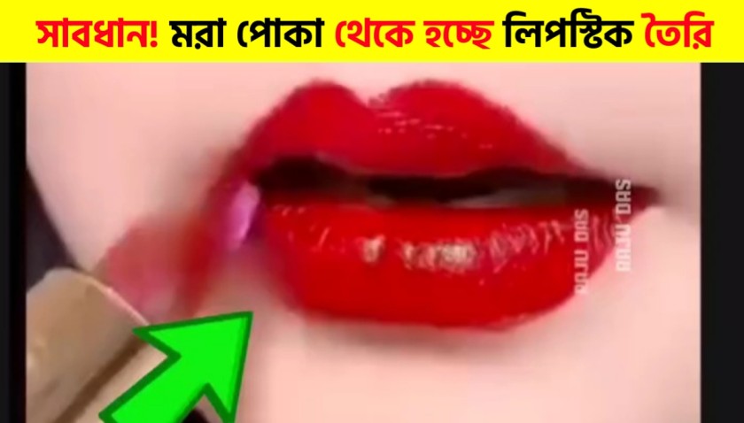 What Really Makes Lipstick Red? The Hidden Process Everyone Should Know