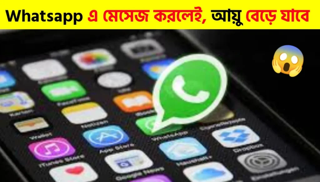 Send a Photo on WhatsApp and Know If Your Food Is Healthy