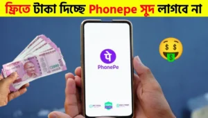 PhonePe Instant Credit Feature | PhonePe UPI Credit Line Guide