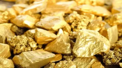 GSI Finds Potential Gold Zones Across West Bengal