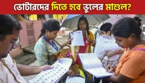 SIR News: ৮ অফিসারের ভুলেই বাদ যেতে পারে সাড়ে ৮ হাজার ভোটারের নাম